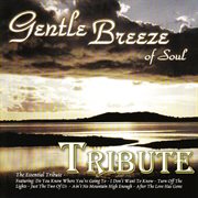 Dubble trubble tribute - gentle breeze of soul cover image