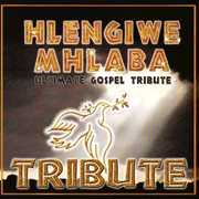 Zoo loo tribute to hlengiwe mhlaba - best of gospel cover image