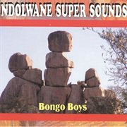 Bongo boys cover image