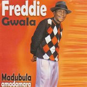 Madubula Amadamara cover image