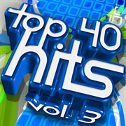 Top 40 hits, vol. 3 cover image