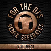 For the djs, vol. 11 cover image