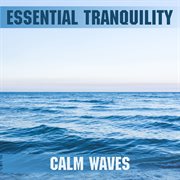 Calm waves cover image