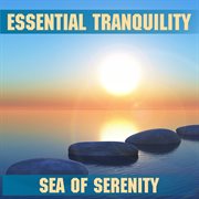 Tranquility - sea of serenity cover image