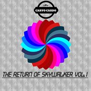 The return of skywalker, vol. 1 cover image