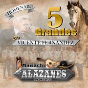 5 Grandes de Vicente Fernandez : de Vicente Fernandez cover image