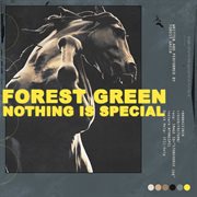 Nothing is special cover image
