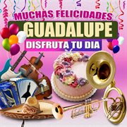 Muchas Felicidades Guadalupe cover image