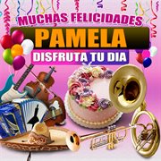 Muchas Felicidades Pamela cover image