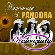 Homenaje a Pandora cover image