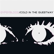 Cold in the guestway cover image