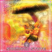 Shamanic state cover image