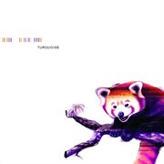 Turquoise cover image