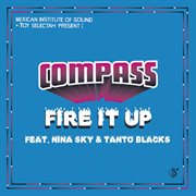 Fire it up remixes cover image