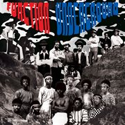 Function underground: the black and brown american rock sound 1969-1974 cover image