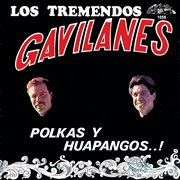Polkas y huapangos…! cover image