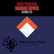 Diamond express cover image
