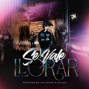 Se Vale Llorar cover image