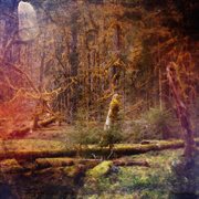 Slidecamp cover image