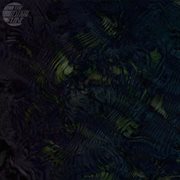 ʃælt ii cover image