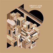 Ambient Void cover image