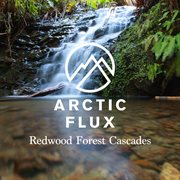Redwood Forest Cascades cover image