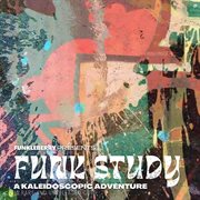 Funk Study: A Kaleidoscopic Adventure : A Kaleidoscopic Adventure cover image
