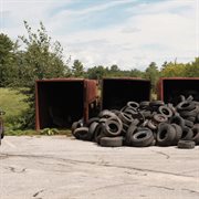 The Fall Collection cover image