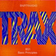Basic principles cover image