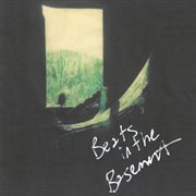 Beats In The Basement cover image