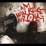 Am i walking wrong? cover image