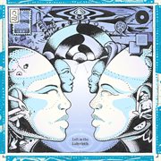 Left in the labyrinth cover image