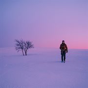 Høysang cover image