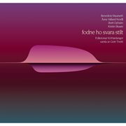 Fodne Ho Svara Stilt - Folketonar Frå Hardanger Samla Av Geirr Tveitt cover image
