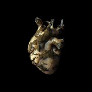 Uranium heart cover image