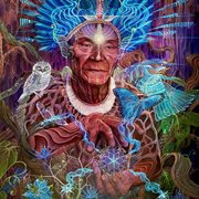 Organic Intelligence Regenerated cover image