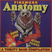 A twenty band compilation cover image