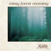 Misty forest morning cover image
