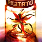 Agitato homemade vol.2 cover image