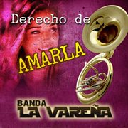 Derecho de Amarla cover image