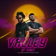 Valley of vibes cover image