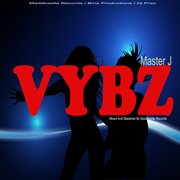 Vybz cover image