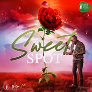 Sweet spot cover image
