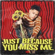 Just Because You Miss Me cover image