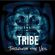 Through the veil - single cover image
