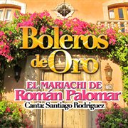 Boleros de oro (canta santiago rodriguez) cover image