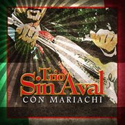 Fallaste corazon (con mariachi) cover image