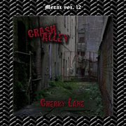 Metal vol. 12: crash alley - cherry lane cover image