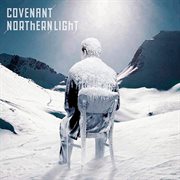 Northern light cover image