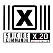 X.20 (remixes) cover image